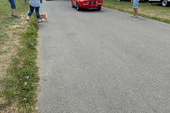 IMG-20250705-WA0243